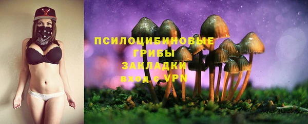 МДПВ Зерноград