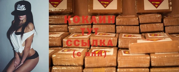 стафф Зеленокумск