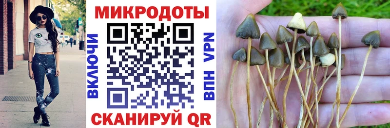 Псилоцибиновые грибы MAGIC MUSHROOMS  Купить закладки  Заринск 